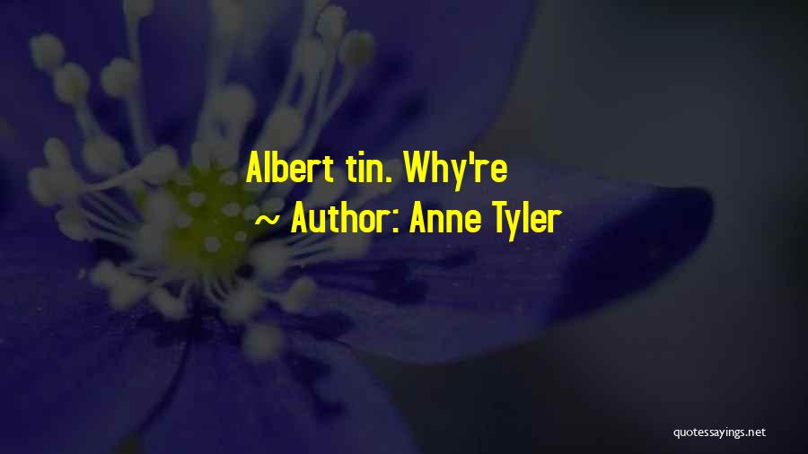 Anne Tyler Quotes: Albert Tin. Why're