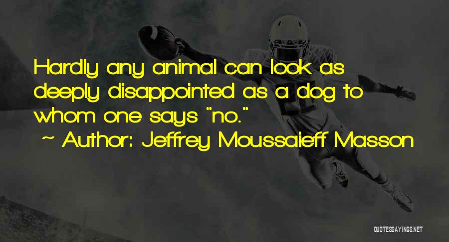 Jeffrey Moussaieff Masson Quotes: Hardly Any Animal Can Look As Deeply Disappointed As A Dog To Whom One Says No.