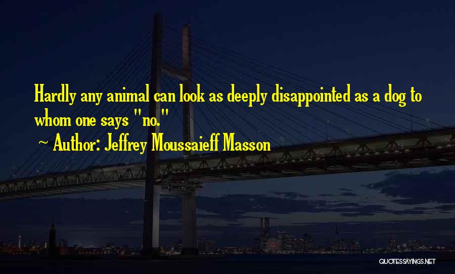 Jeffrey Moussaieff Masson Quotes: Hardly Any Animal Can Look As Deeply Disappointed As A Dog To Whom One Says No.