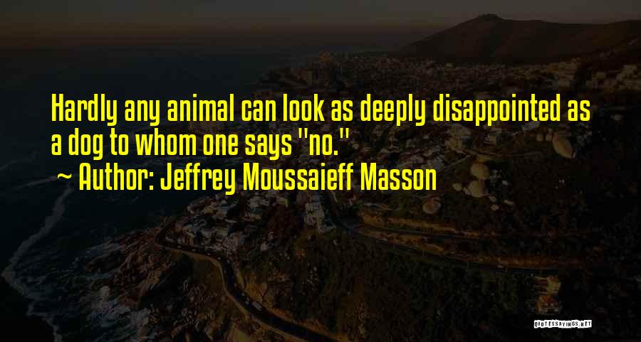 Jeffrey Moussaieff Masson Quotes: Hardly Any Animal Can Look As Deeply Disappointed As A Dog To Whom One Says No.