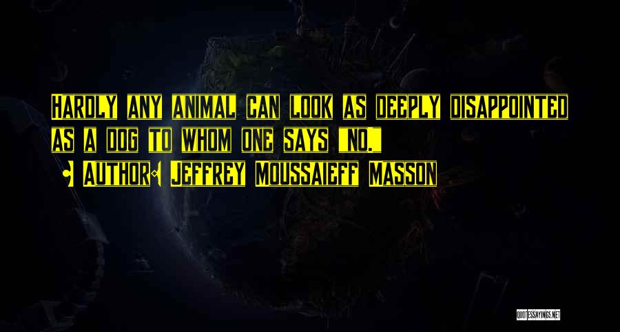 Jeffrey Moussaieff Masson Quotes: Hardly Any Animal Can Look As Deeply Disappointed As A Dog To Whom One Says No.