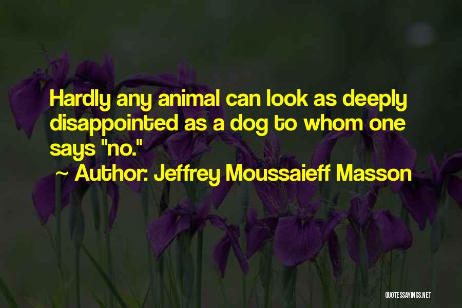 Jeffrey Moussaieff Masson Quotes: Hardly Any Animal Can Look As Deeply Disappointed As A Dog To Whom One Says No.