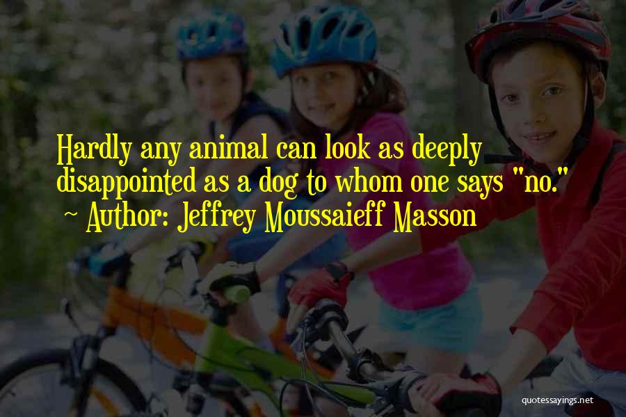 Jeffrey Moussaieff Masson Quotes: Hardly Any Animal Can Look As Deeply Disappointed As A Dog To Whom One Says No.