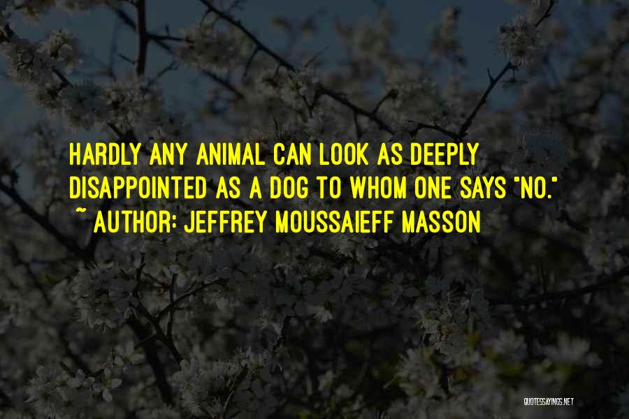 Jeffrey Moussaieff Masson Quotes: Hardly Any Animal Can Look As Deeply Disappointed As A Dog To Whom One Says No.
