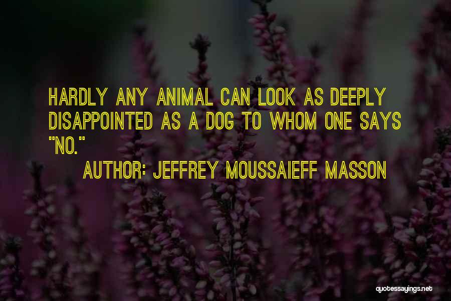 Jeffrey Moussaieff Masson Quotes: Hardly Any Animal Can Look As Deeply Disappointed As A Dog To Whom One Says No.