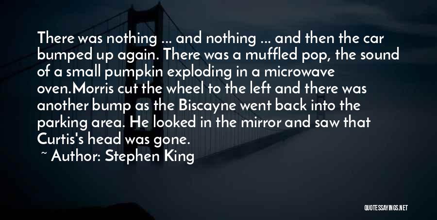 Stephen King Quotes: There Was Nothing ... And Nothing ... And Then The Car Bumped Up Again. There Was A Muffled Pop, The