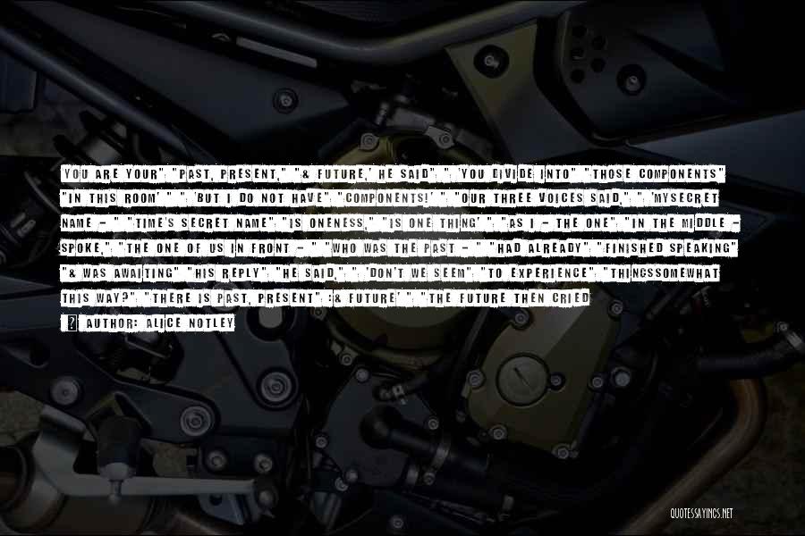 Alice Notley Quotes: 'you Are Your Past, Present, & Future,' He Said 'you Divide Into Those Components In This Room' 'but I Do