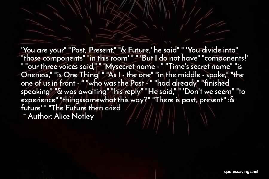 Alice Notley Quotes: 'you Are Your Past, Present, & Future,' He Said 'you Divide Into Those Components In This Room' 'but I Do