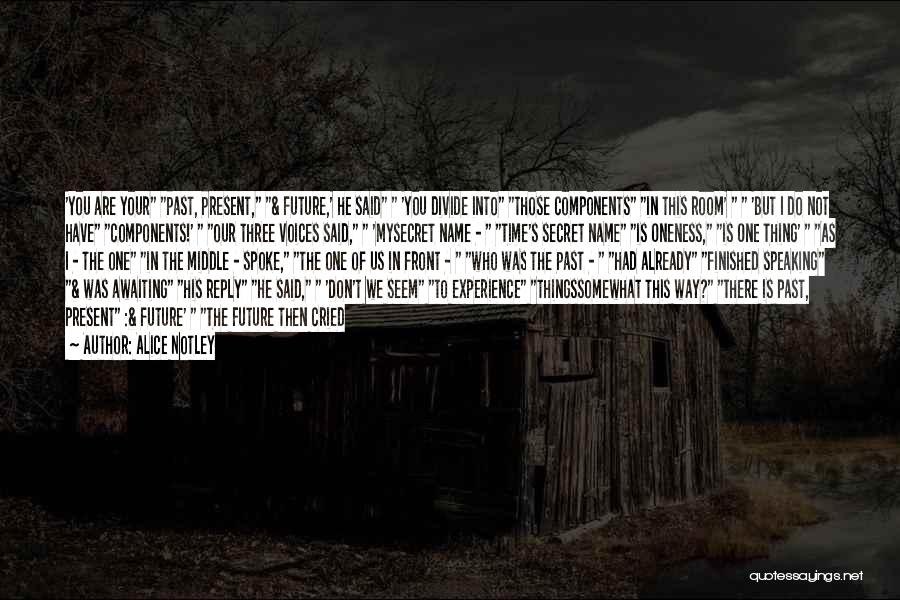 Alice Notley Quotes: 'you Are Your Past, Present, & Future,' He Said 'you Divide Into Those Components In This Room' 'but I Do