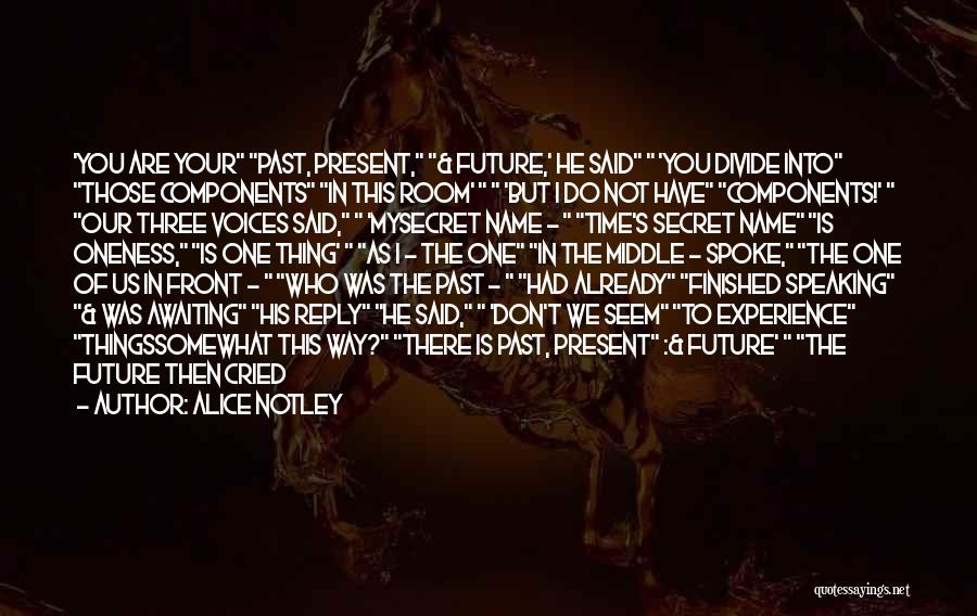 Alice Notley Quotes: 'you Are Your Past, Present, & Future,' He Said 'you Divide Into Those Components In This Room' 'but I Do