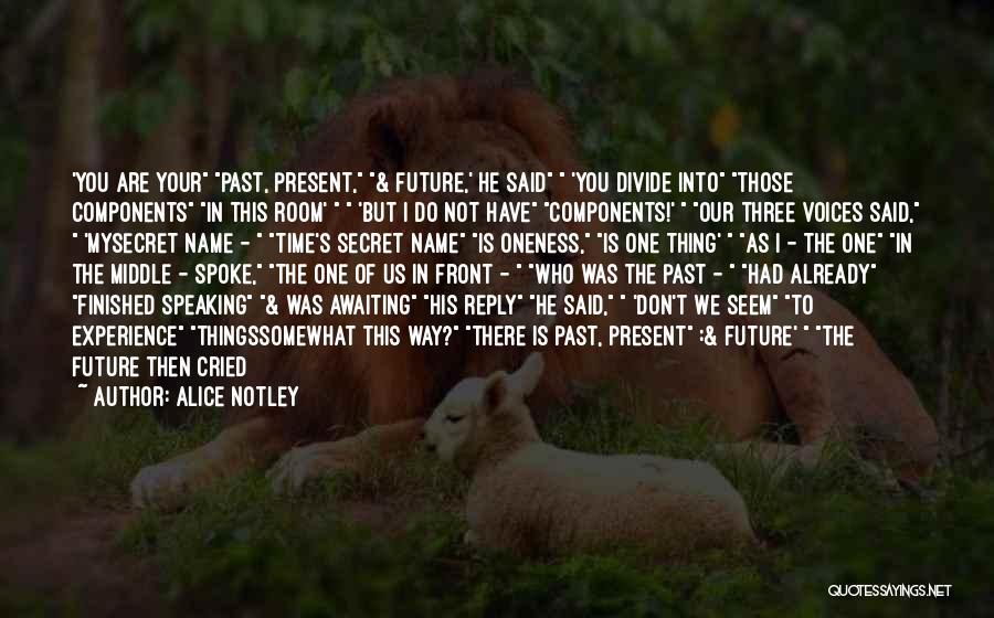Alice Notley Quotes: 'you Are Your Past, Present, & Future,' He Said 'you Divide Into Those Components In This Room' 'but I Do