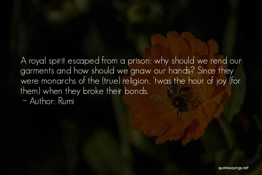 Rumi Quotes: A Royal Spirit Escaped From A Prison: Why Should We Rend Our Garments And How Should We Gnaw Our Hands?