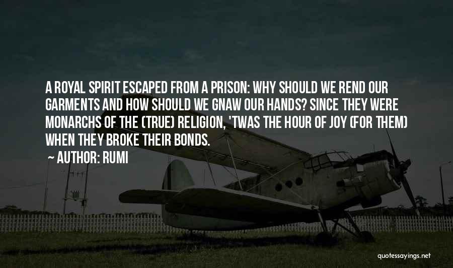 Rumi Quotes: A Royal Spirit Escaped From A Prison: Why Should We Rend Our Garments And How Should We Gnaw Our Hands?