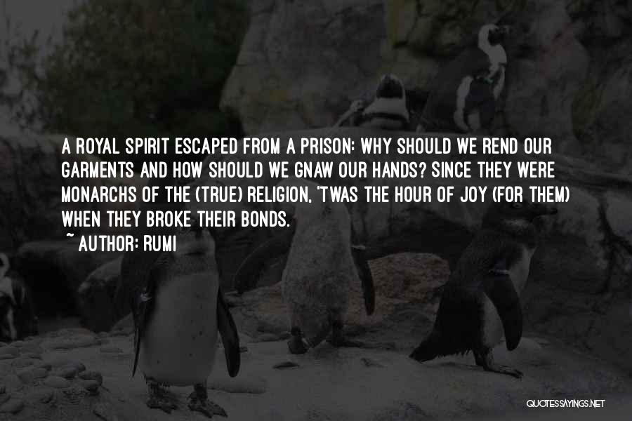 Rumi Quotes: A Royal Spirit Escaped From A Prison: Why Should We Rend Our Garments And How Should We Gnaw Our Hands?