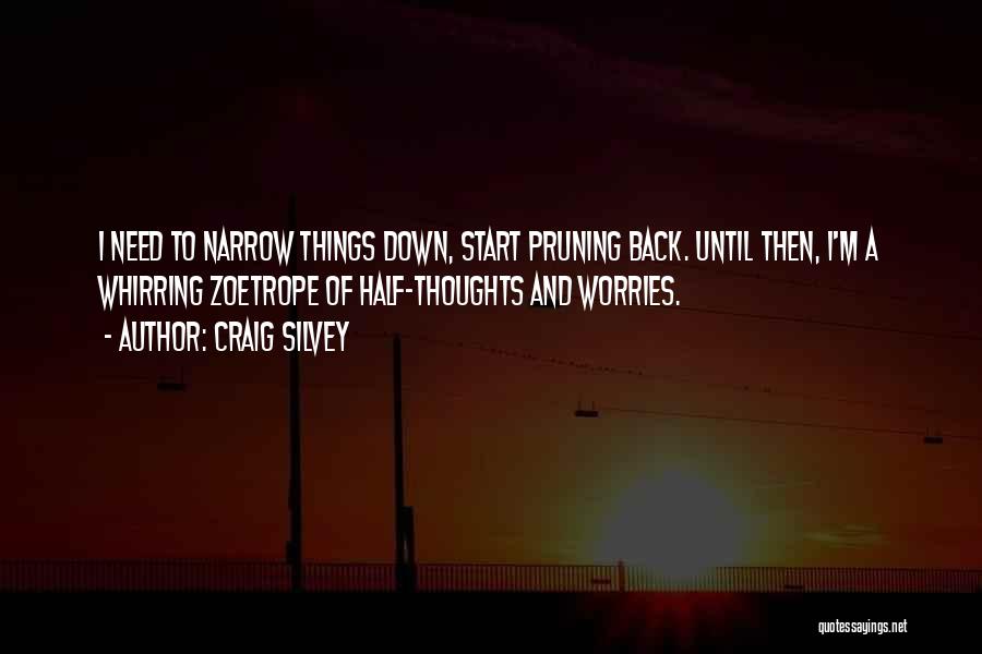 Craig Silvey Quotes: I Need To Narrow Things Down, Start Pruning Back. Until Then, I'm A Whirring Zoetrope Of Half-thoughts And Worries.