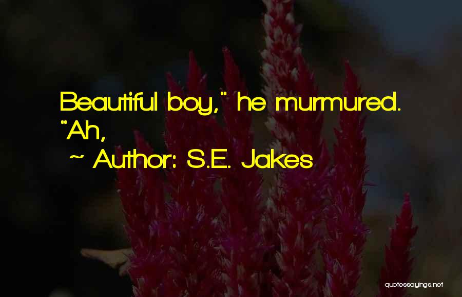 S.E. Jakes Quotes: Beautiful Boy, He Murmured. Ah,