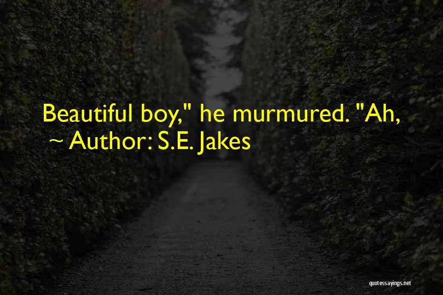 S.E. Jakes Quotes: Beautiful Boy, He Murmured. Ah,