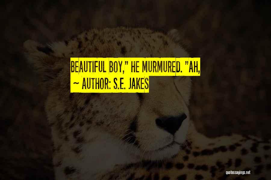 S.E. Jakes Quotes: Beautiful Boy, He Murmured. Ah,