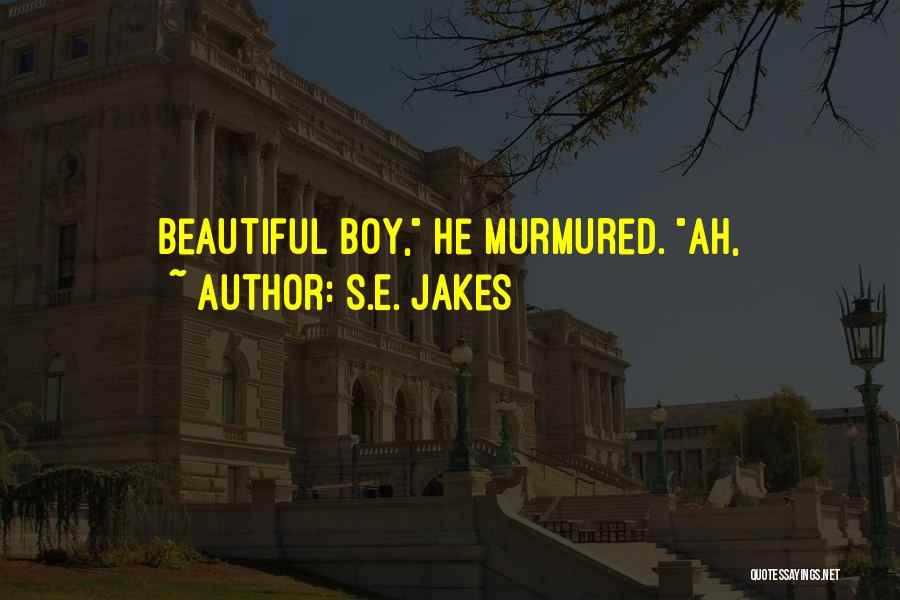 S.E. Jakes Quotes: Beautiful Boy, He Murmured. Ah,