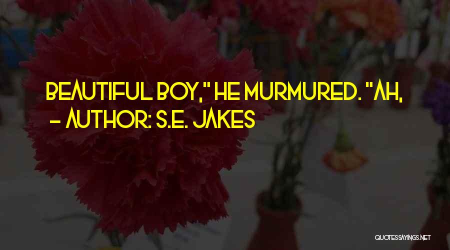 S.E. Jakes Quotes: Beautiful Boy, He Murmured. Ah,