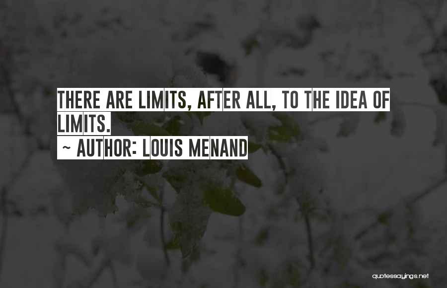 Louis Menand Quotes: There Are Limits, After All, To The Idea Of Limits.