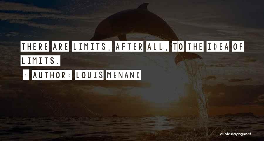 Louis Menand Quotes: There Are Limits, After All, To The Idea Of Limits.