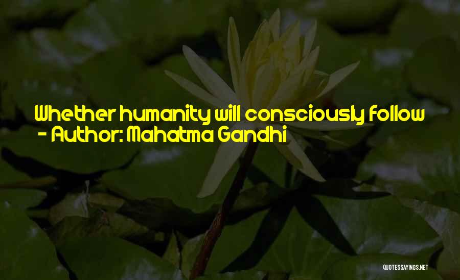 Mahatma Gandhi Quotes: Whether Humanity Will Consciously Follow The Law Of Love, I Do Not Know. But That Need Not Disturb Me. The