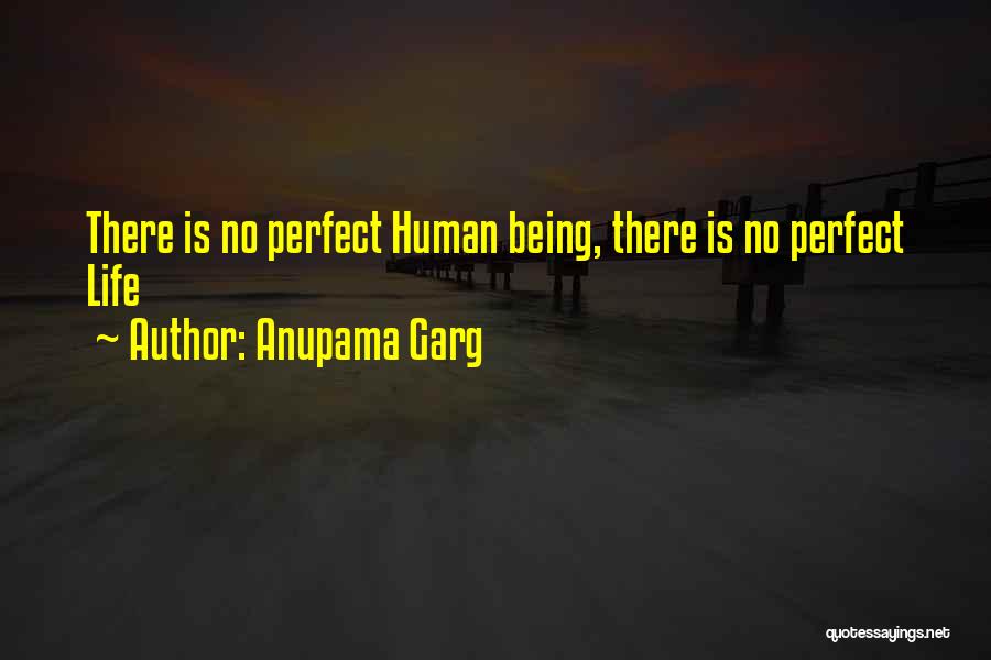 Anupama Garg Quotes: There Is No Perfect Human Being, There Is No Perfect Life