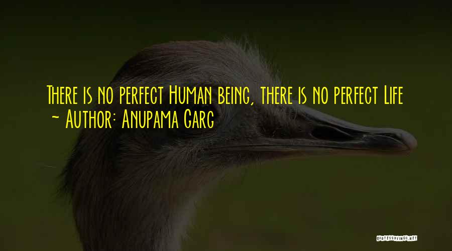Anupama Garg Quotes: There Is No Perfect Human Being, There Is No Perfect Life
