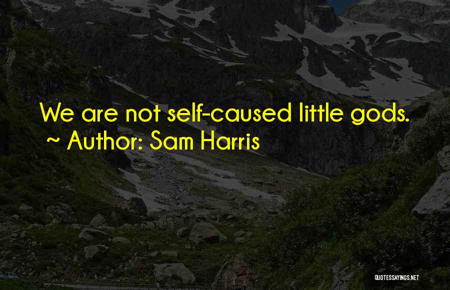 Sam Harris Quotes: We Are Not Self-caused Little Gods.