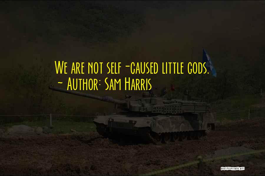 Sam Harris Quotes: We Are Not Self-caused Little Gods.