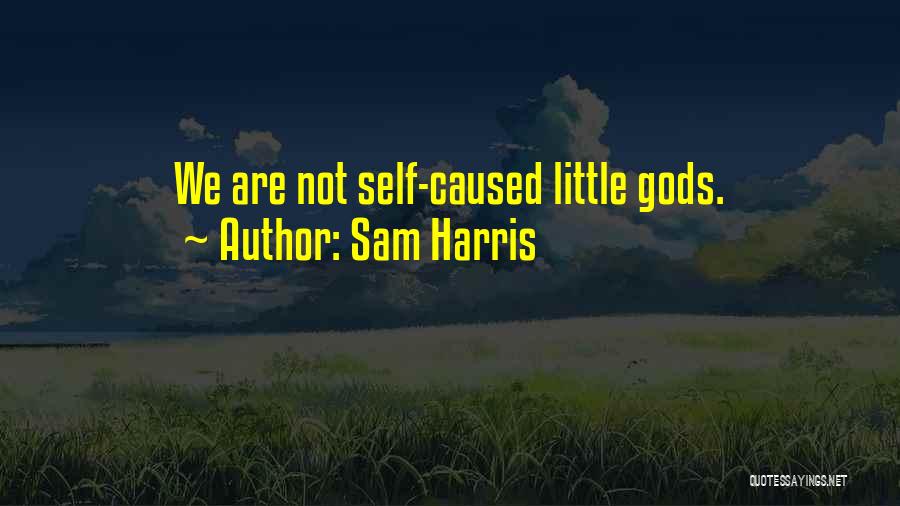 Sam Harris Quotes: We Are Not Self-caused Little Gods.