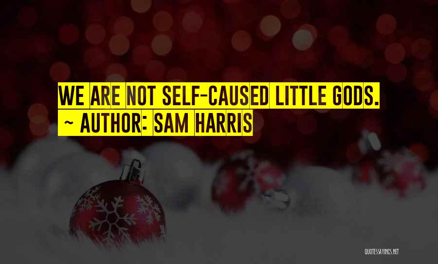 Sam Harris Quotes: We Are Not Self-caused Little Gods.