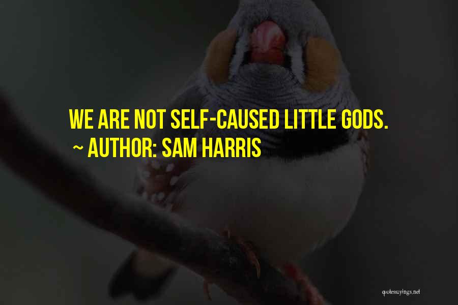 Sam Harris Quotes: We Are Not Self-caused Little Gods.