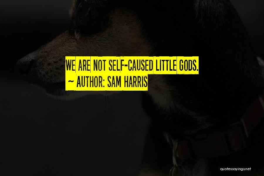 Sam Harris Quotes: We Are Not Self-caused Little Gods.