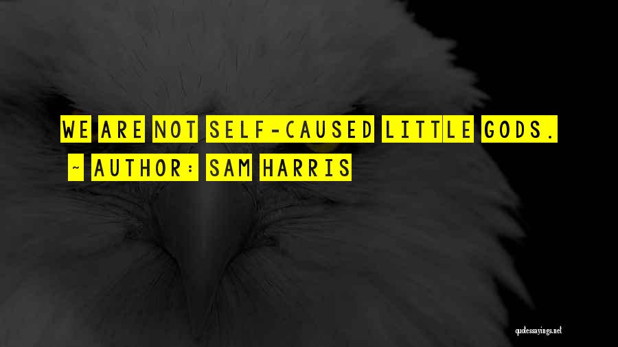 Sam Harris Quotes: We Are Not Self-caused Little Gods.
