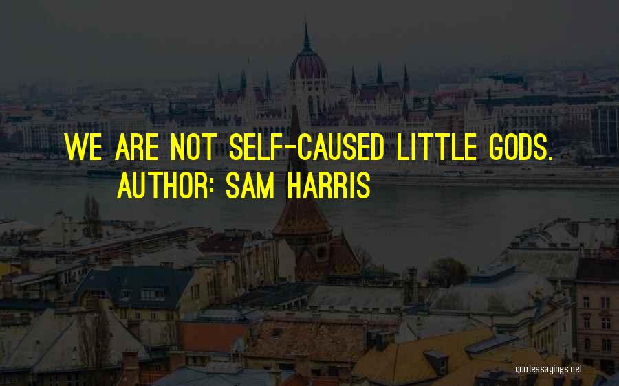 Sam Harris Quotes: We Are Not Self-caused Little Gods.