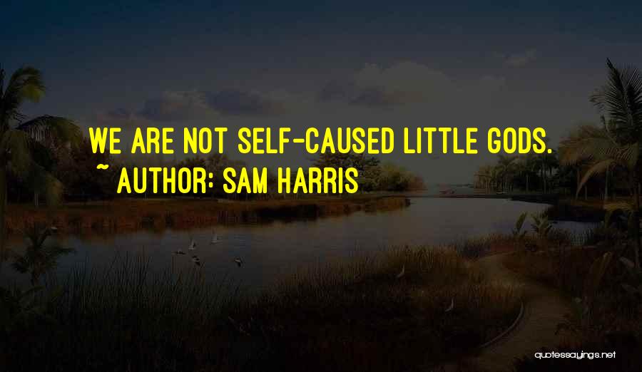 Sam Harris Quotes: We Are Not Self-caused Little Gods.