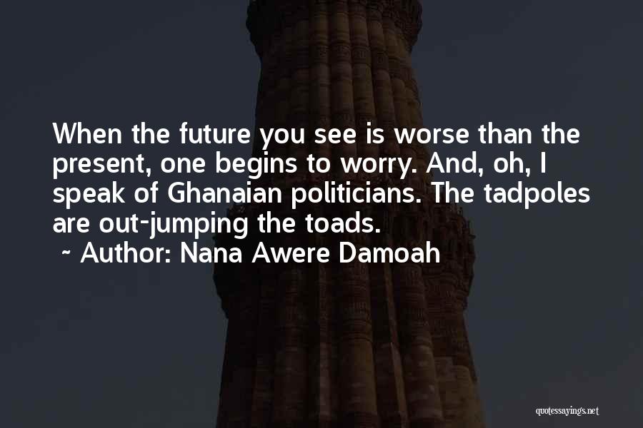 Nana Awere Damoah Quotes: When The Future You See Is Worse Than The Present, One Begins To Worry. And, Oh, I Speak Of Ghanaian