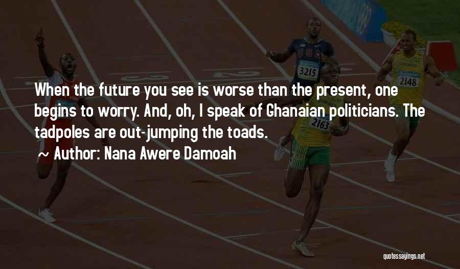 Nana Awere Damoah Quotes: When The Future You See Is Worse Than The Present, One Begins To Worry. And, Oh, I Speak Of Ghanaian