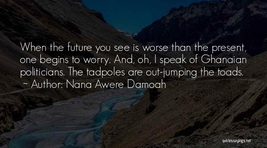 Nana Awere Damoah Quotes: When The Future You See Is Worse Than The Present, One Begins To Worry. And, Oh, I Speak Of Ghanaian