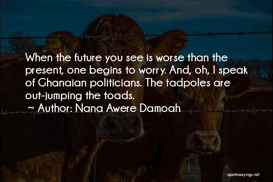 Nana Awere Damoah Quotes: When The Future You See Is Worse Than The Present, One Begins To Worry. And, Oh, I Speak Of Ghanaian