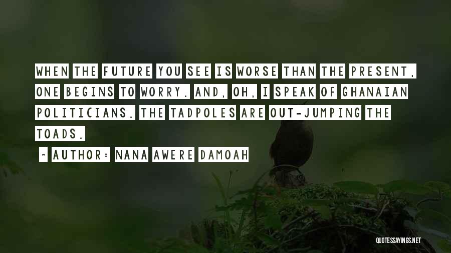 Nana Awere Damoah Quotes: When The Future You See Is Worse Than The Present, One Begins To Worry. And, Oh, I Speak Of Ghanaian