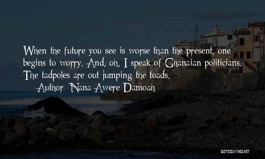 Nana Awere Damoah Quotes: When The Future You See Is Worse Than The Present, One Begins To Worry. And, Oh, I Speak Of Ghanaian