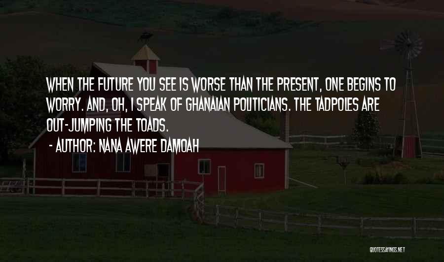 Nana Awere Damoah Quotes: When The Future You See Is Worse Than The Present, One Begins To Worry. And, Oh, I Speak Of Ghanaian