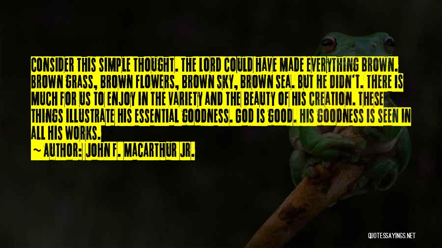 John F. MacArthur Jr. Quotes: Consider This Simple Thought. The Lord Could Have Made Everything Brown. Brown Grass, Brown Flowers, Brown Sky, Brown Sea. But