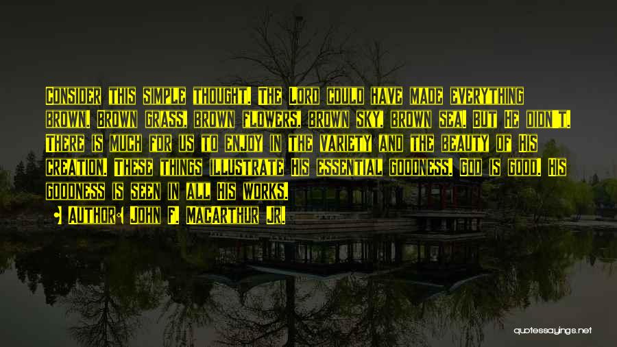 John F. MacArthur Jr. Quotes: Consider This Simple Thought. The Lord Could Have Made Everything Brown. Brown Grass, Brown Flowers, Brown Sky, Brown Sea. But