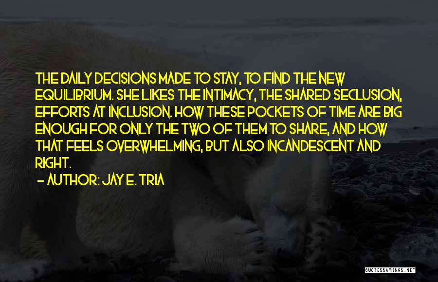 Jay E. Tria Quotes: The Daily Decisions Made To Stay, To Find The New Equilibrium. She Likes The Intimacy, The Shared Seclusion, Efforts At