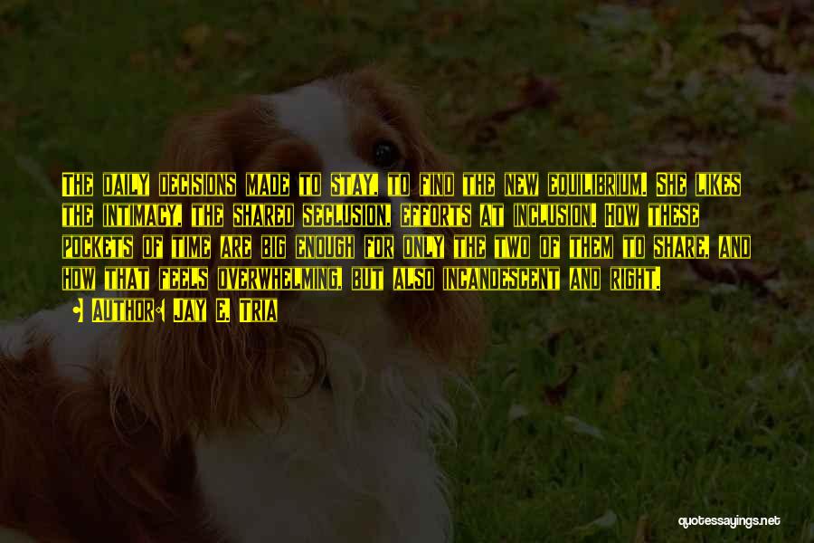 Jay E. Tria Quotes: The Daily Decisions Made To Stay, To Find The New Equilibrium. She Likes The Intimacy, The Shared Seclusion, Efforts At