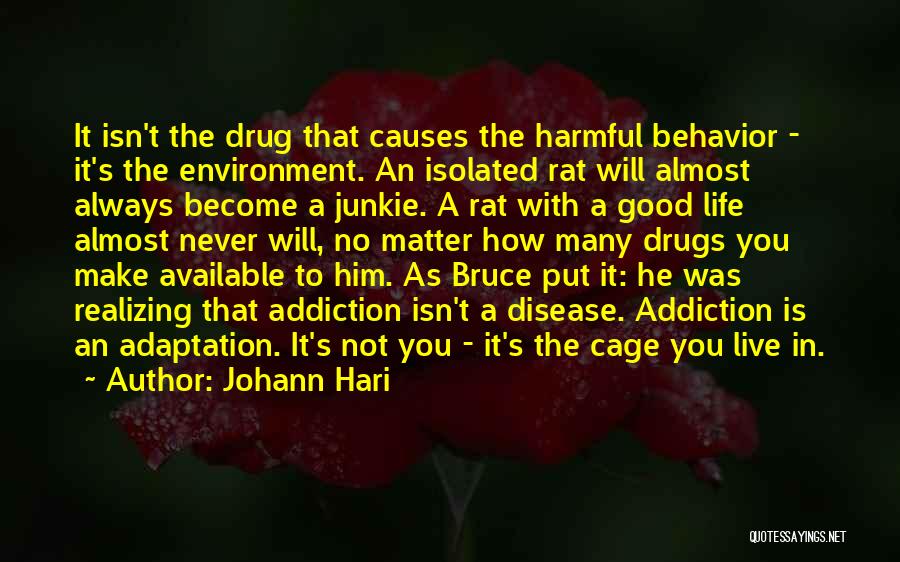 Johann Hari Quotes: It Isn't The Drug That Causes The Harmful Behavior - It's The Environment. An Isolated Rat Will Almost Always Become